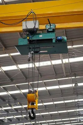 metallurgical electric wire rope hoist manufacturer